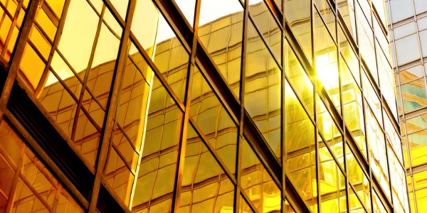 Header image-2