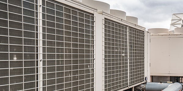 shutterstock_1519683857