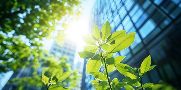 shutterstock_2610083145